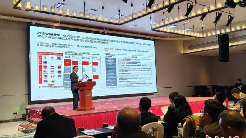 如何选择合适的人力资源管理咨询公司？**